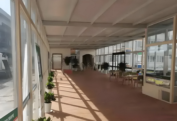 名门闺秀
